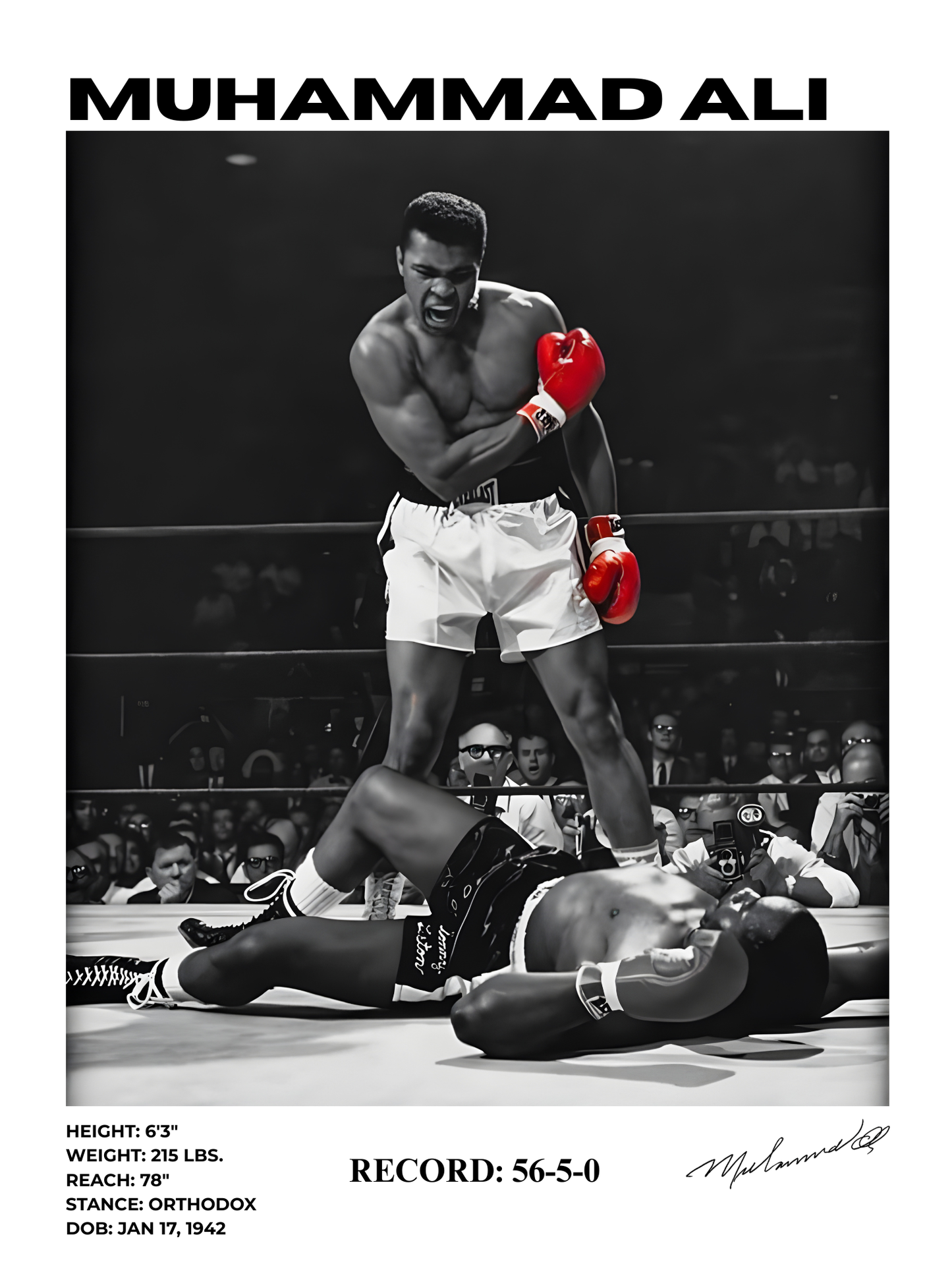 muhammad ali 30x40