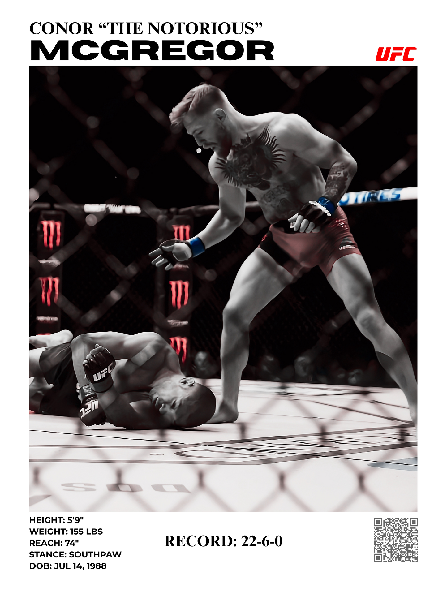 connor mcgregor ko 30x40