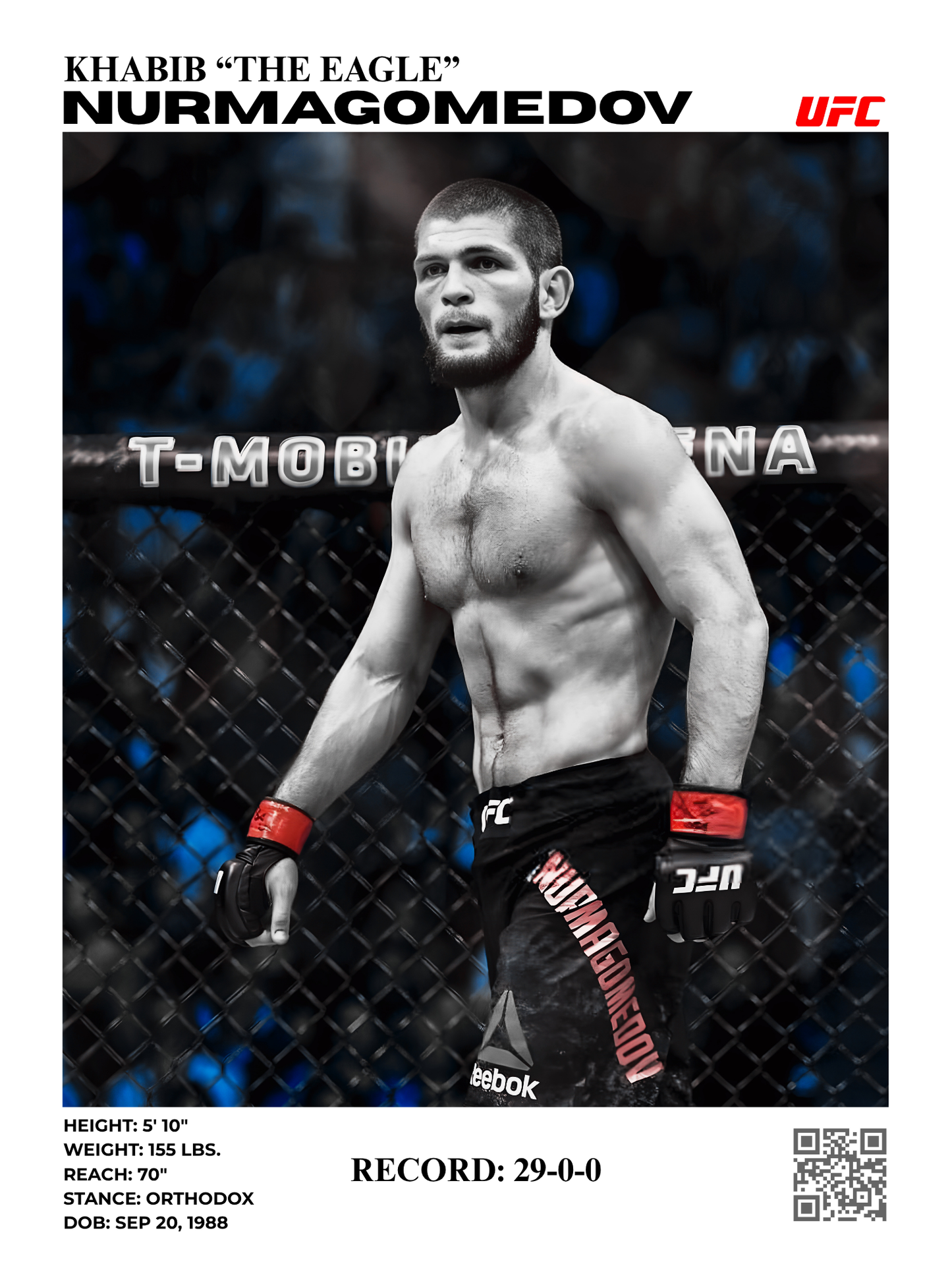 khabib "the eagle" nurmagomedov 30x40