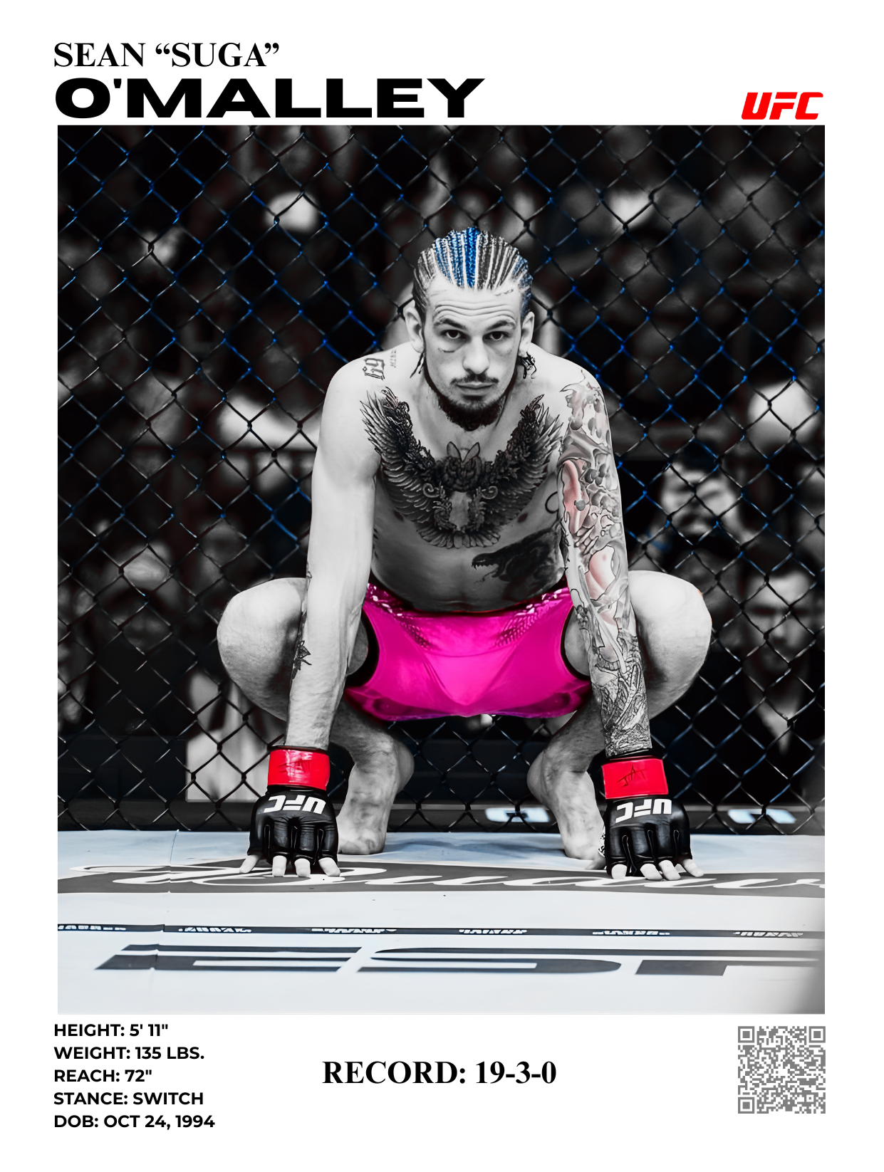 sean o'malley 30x40