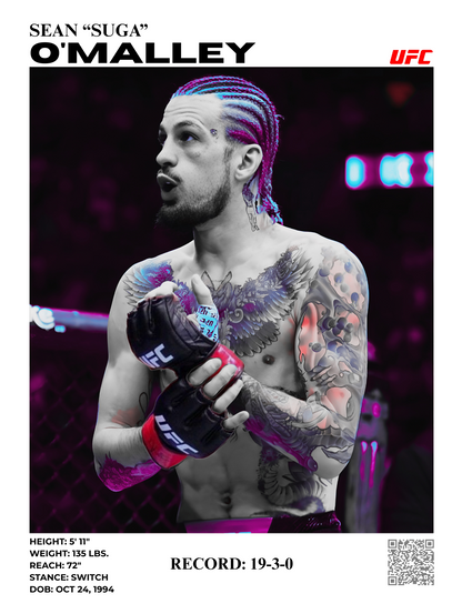 SEAN O'MALLEY 2 / 30x40