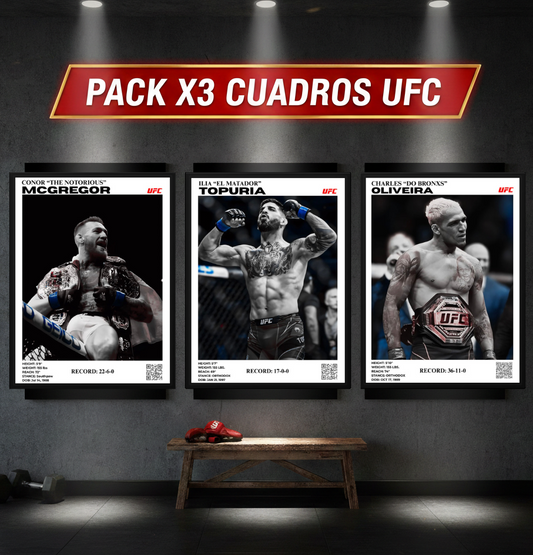 PACK X3 CUADROS A ELECCIÓN + 10% OFF "FT10" + ENVÍO GRATIS
