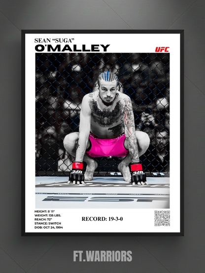 SEAN O'MALLEY 30x40