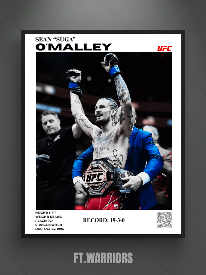 sean o'malley champ 30x40