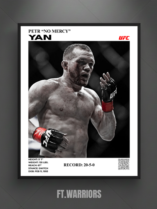 PETR "NO MERCY" YAN 30x40